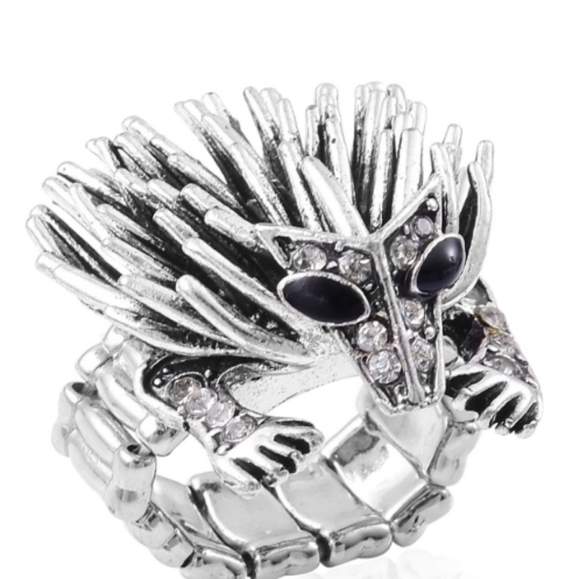 Hedgehog Necklace and Ring Set - Picture 5 of 6